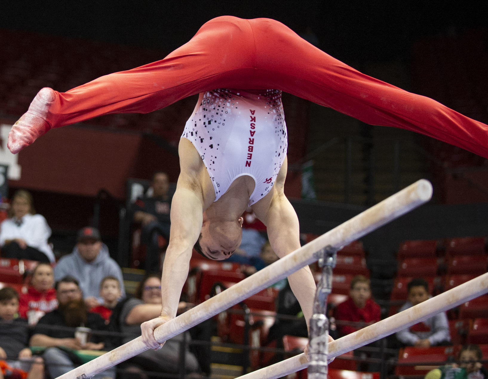 NU men's gymnastics vs. Illinois, Oklahoma, 2.2